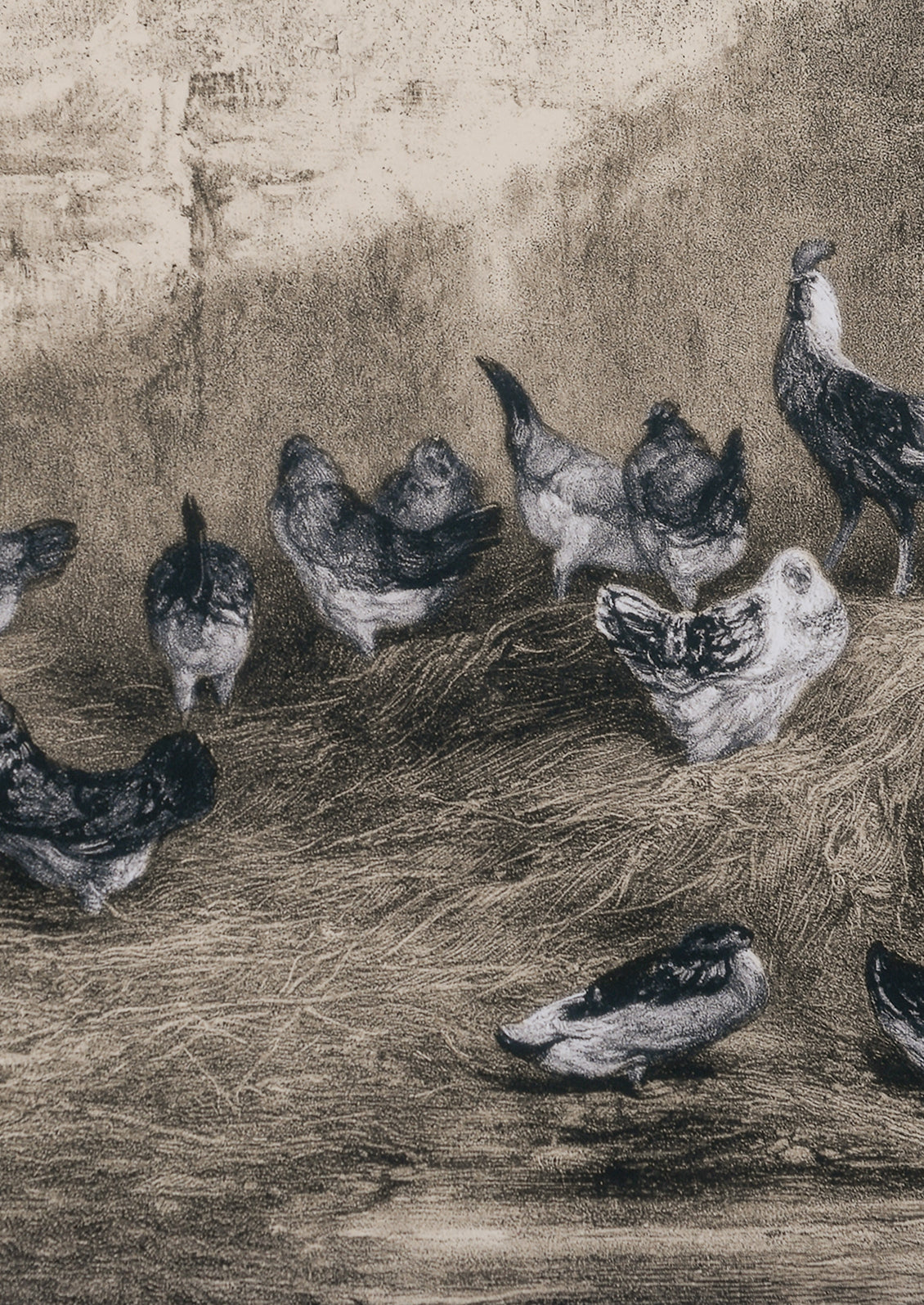 An art print in monotone sepia tone, depicting chickens in a barn.