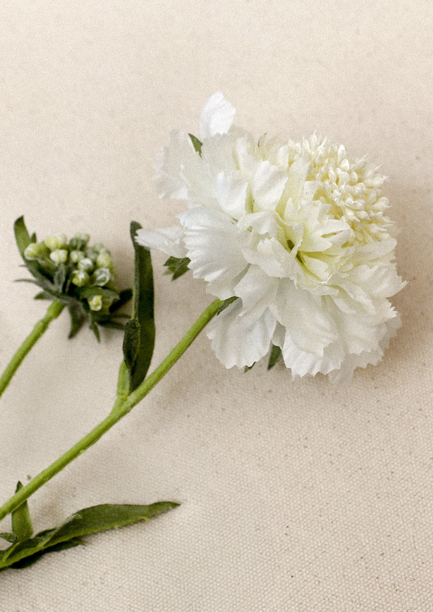 A faux floral stem in the likeness of a Snowmaiden Scabiosa flower in ivory.