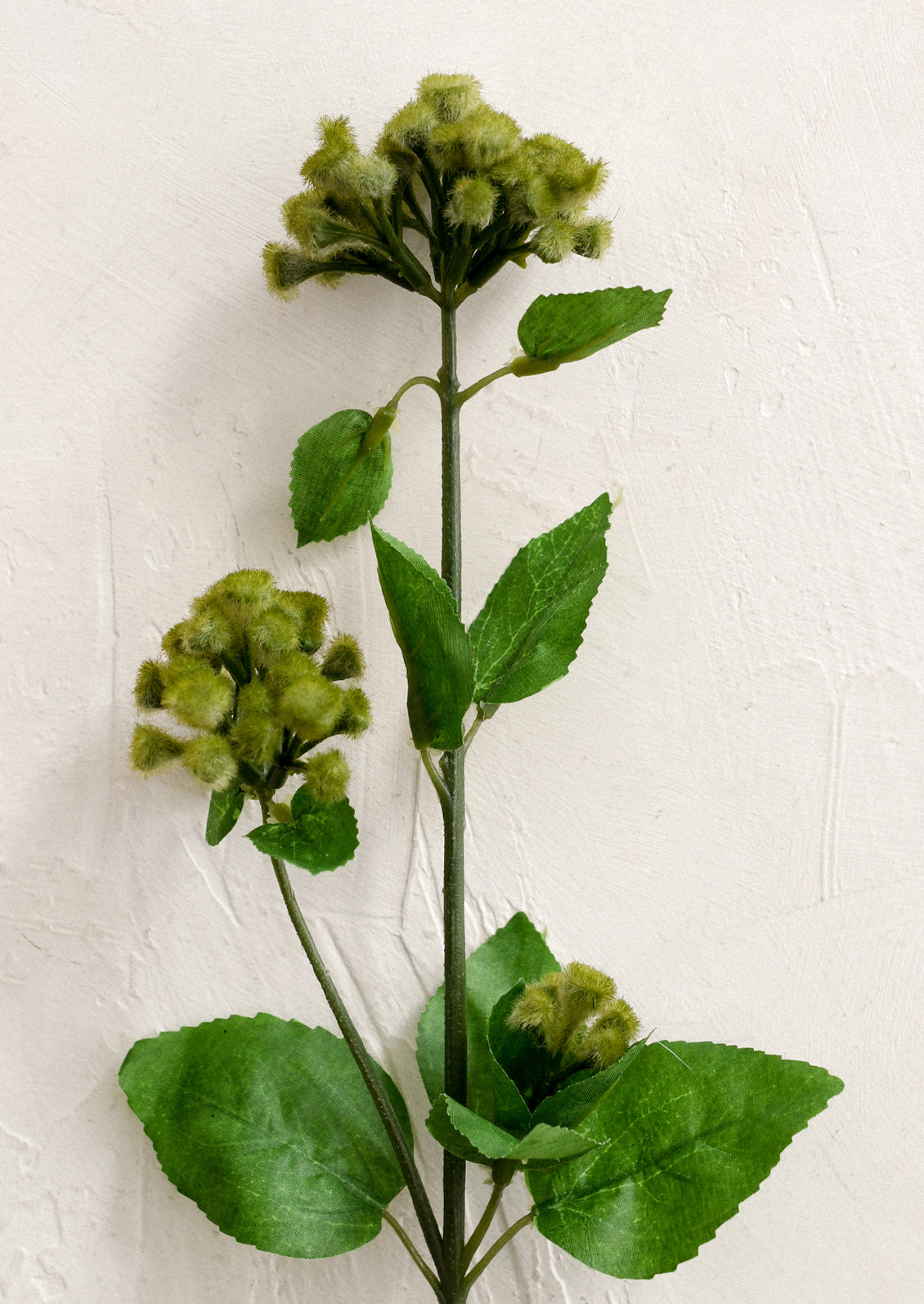 A faux greenery spray in the likeness of soft green buds with leaves.