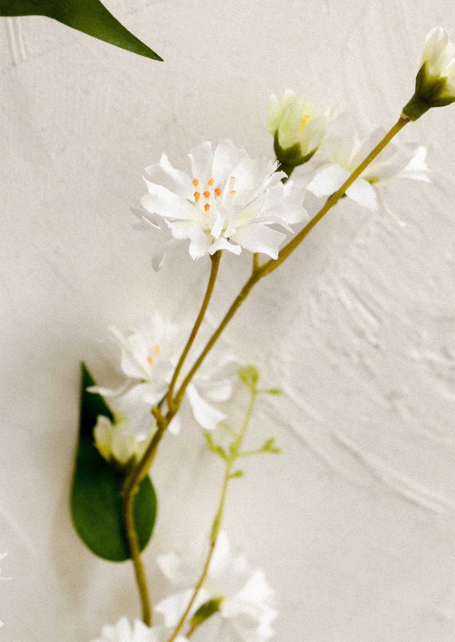 A faux flower spray in the likeness of white pilosella flowers.