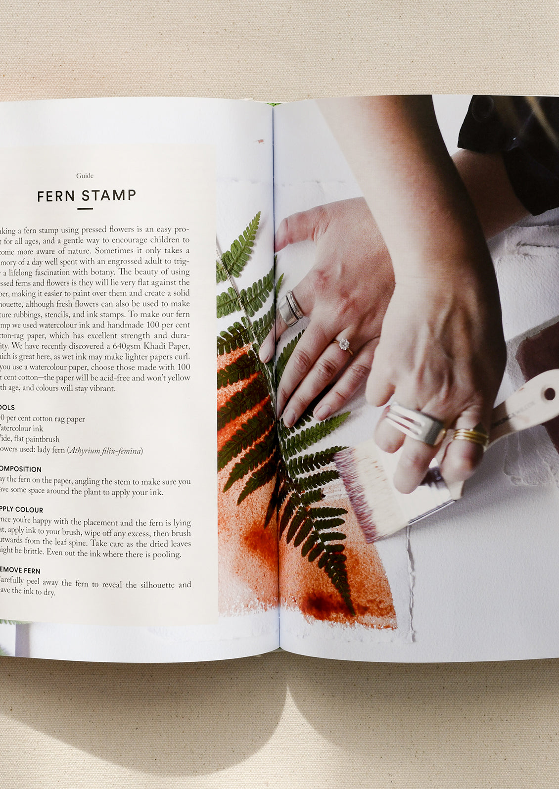 Interior pages of a book detailing projects you can do with pressed flowers.