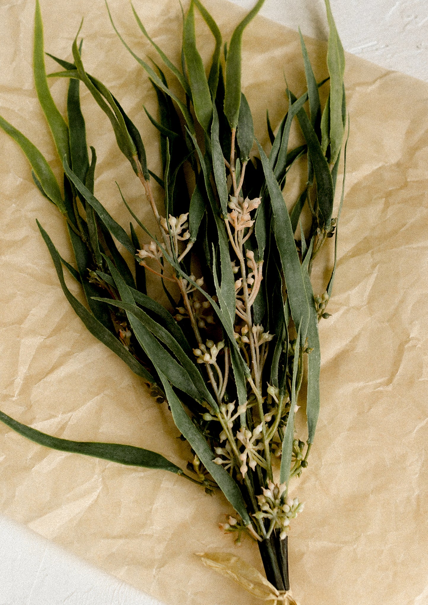 A bundle of faux seeded willow eucalyptus.