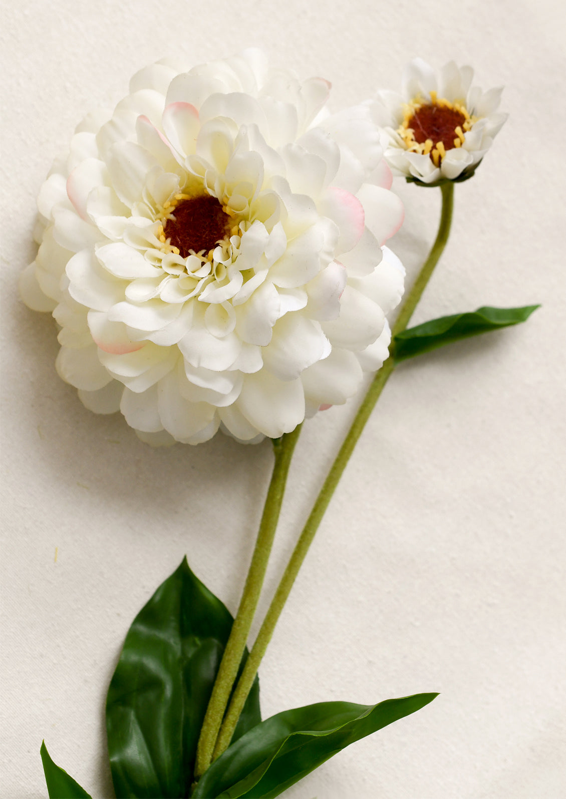 Faux Blooming Zinnia Stem in white.