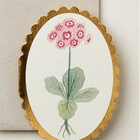 Auricula: A small oval shaped card with scalloped edges and auricula flower drawing.