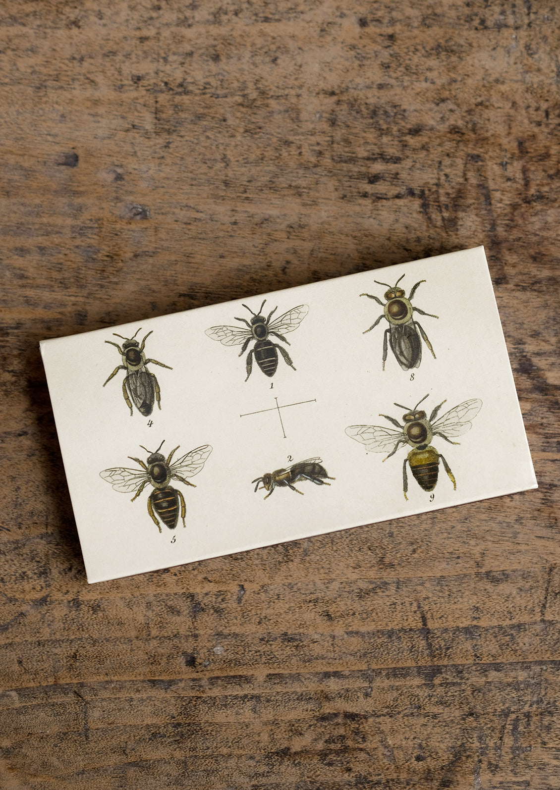 Bee illustration on a matchbox.