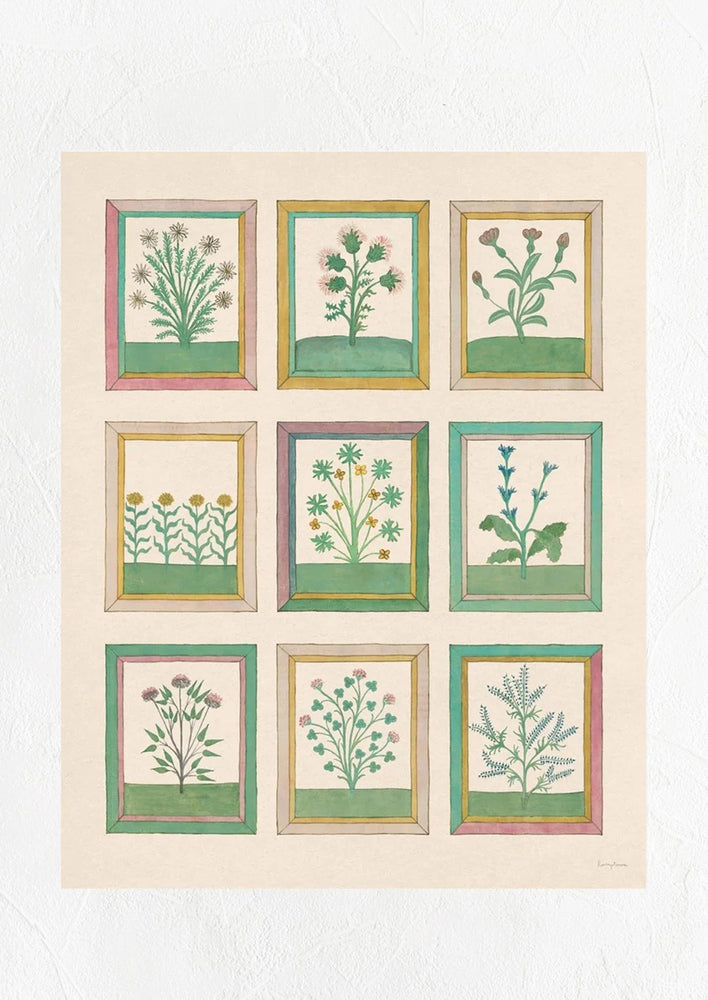 1: "Book of Herb" print with multiple species of plant.