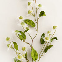 1: A faux flora spray of white buttonbush flower.