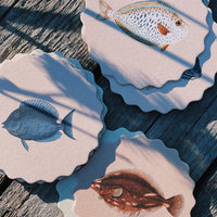 3: A set of scalloped edge paper coasters with 10 different fish prints.