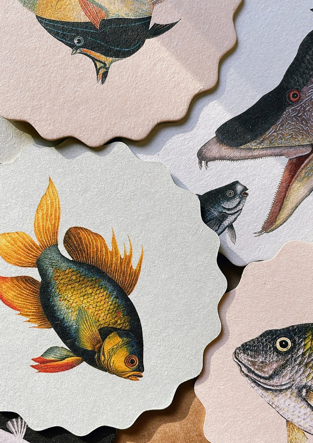 5: A set of scalloped edge paper coasters with 10 different fish prints.