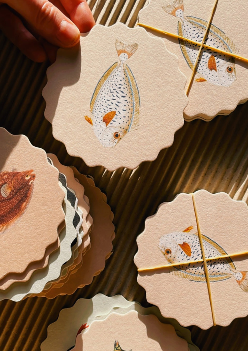 Fish: A set of scalloped edge paper coasters with 10 different fish prints.