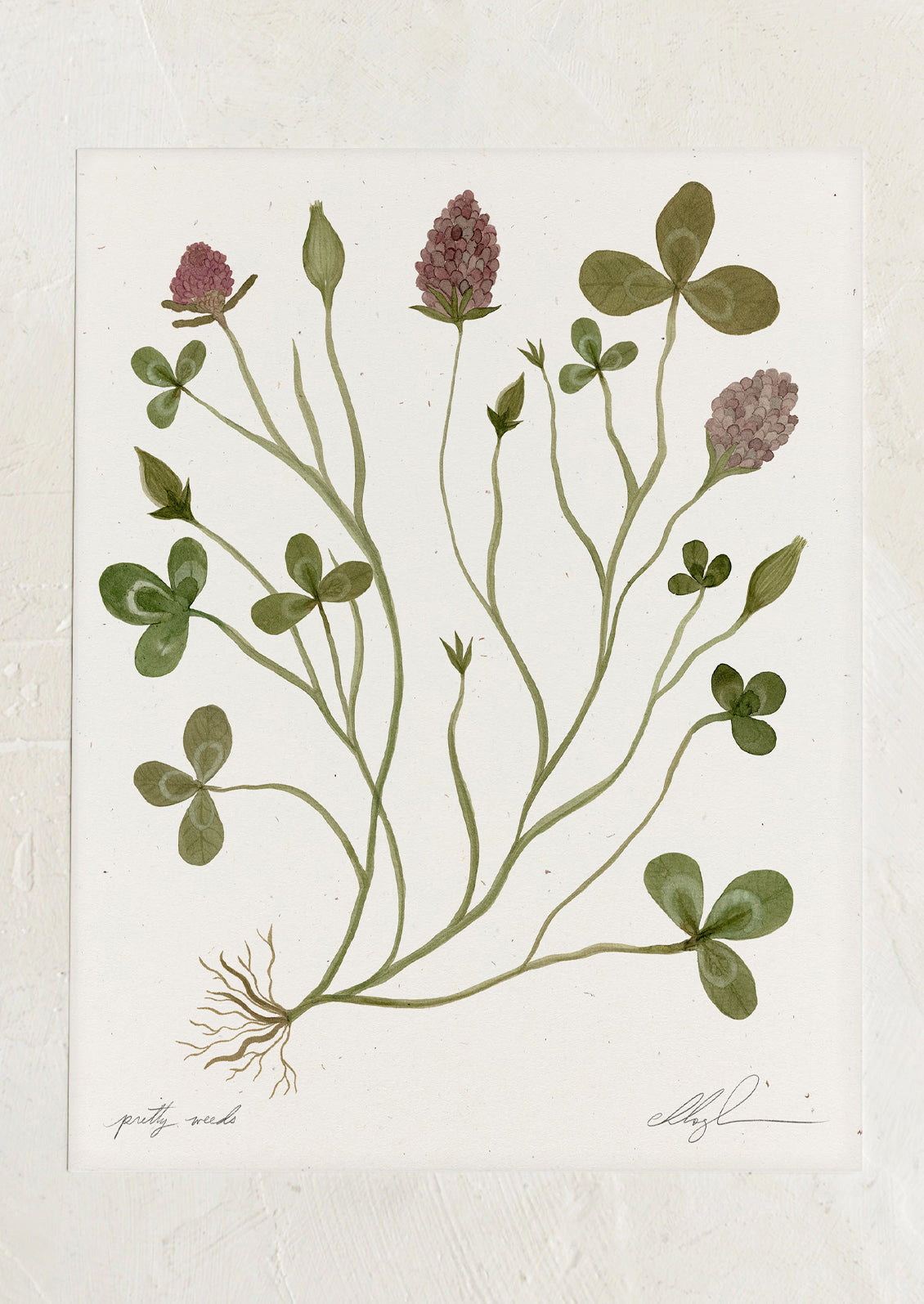 An art print of illustration of wild clover.