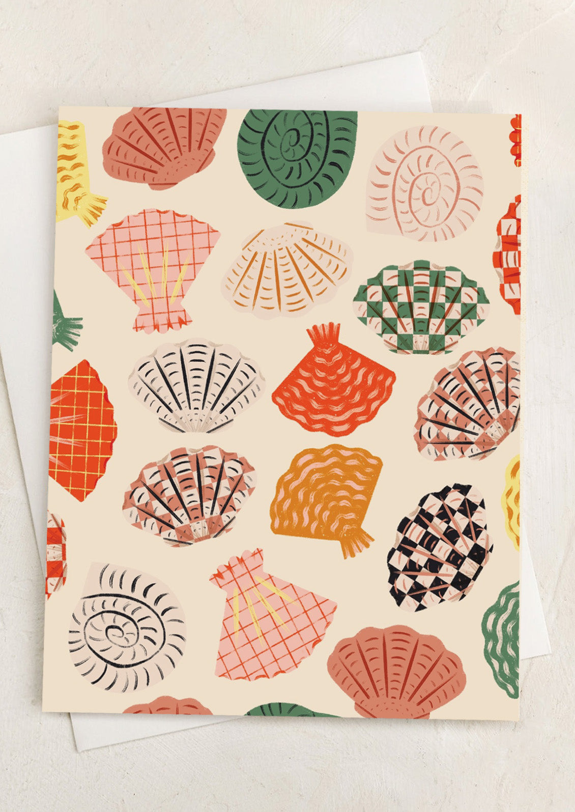 A blank card with illustrations of checker print shells.