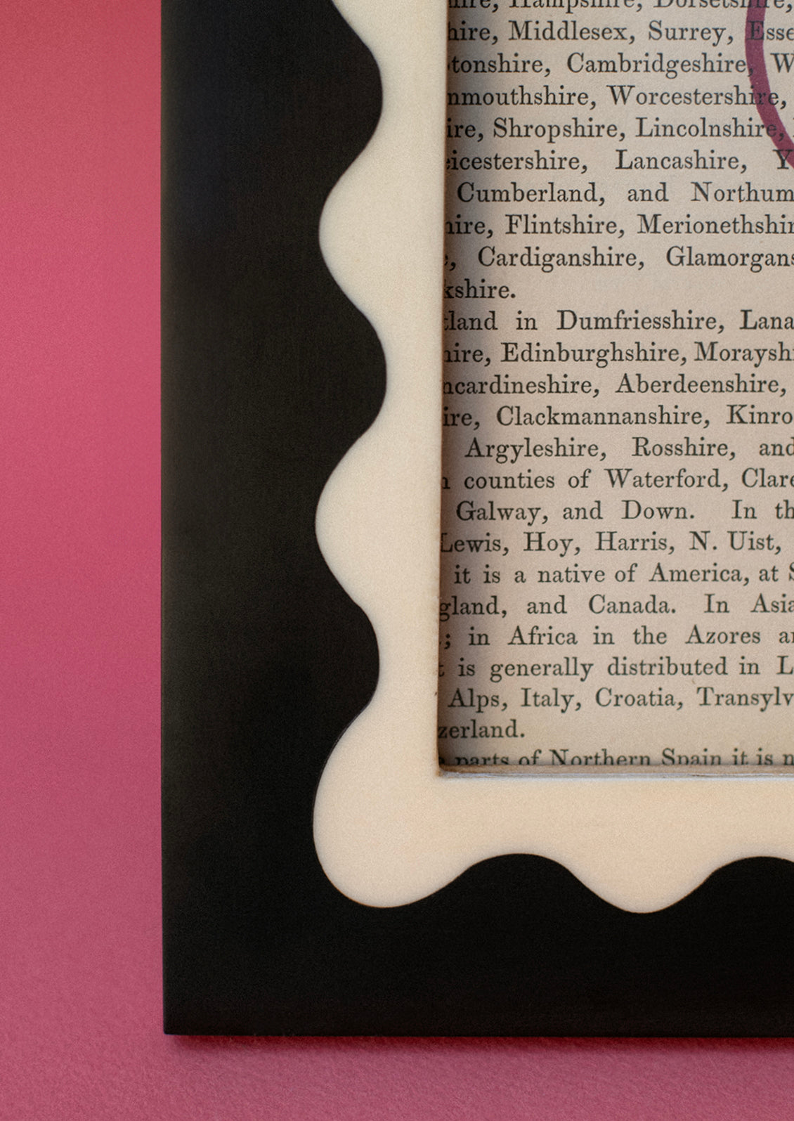 A black picture frame with cream squiggle frame around picture opening.