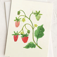 Strawberries: An illustrated card with image of strawberries.