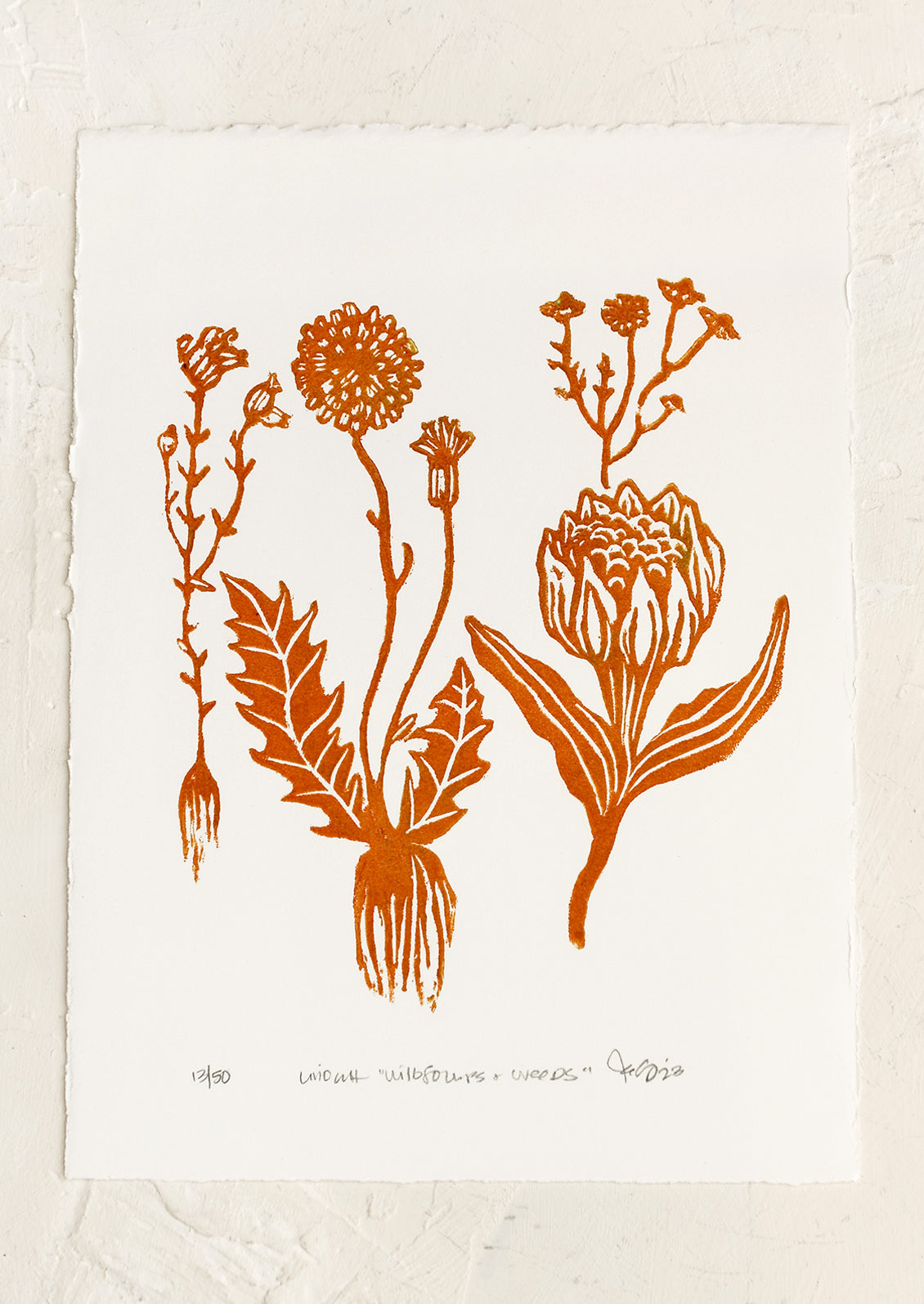 Wildflowers & Weeds Linocut Printed Art Print by Kelsi Cross | LEIF Wildflowers & Weeds Linocut Printed Art Print by Kelsi Cross | LEIF