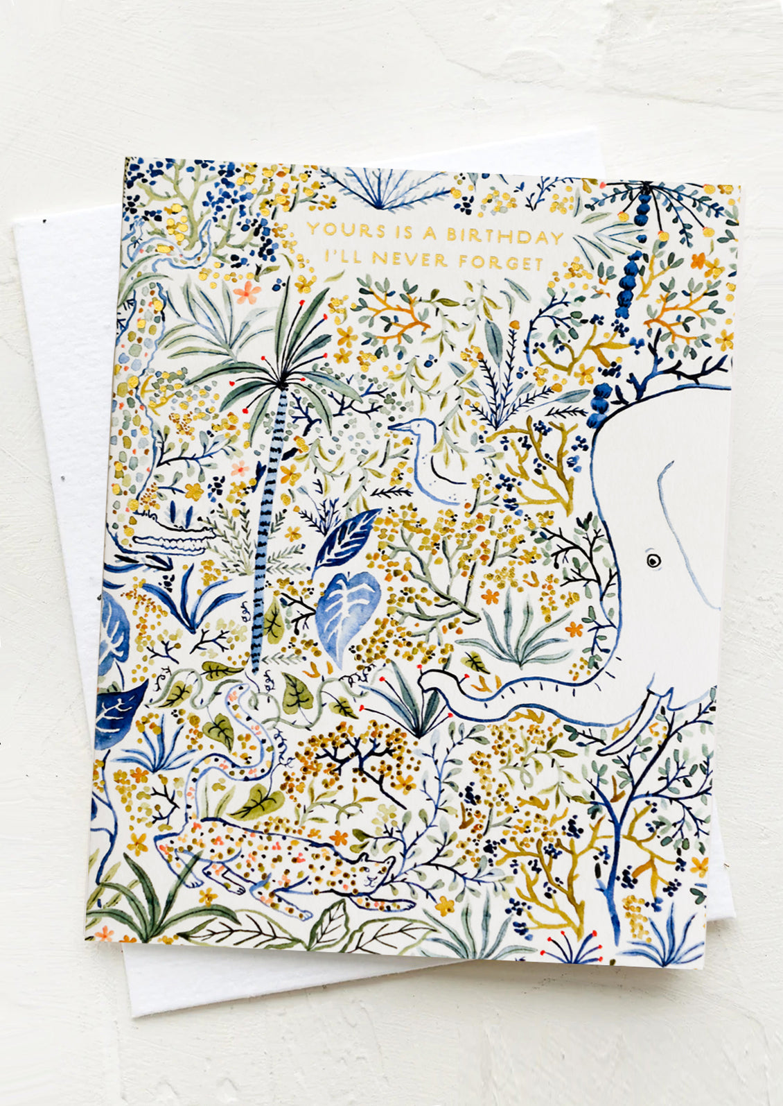 Greeting card with text reading "Yours is a birthday I'll never forget", with seed paper envelope