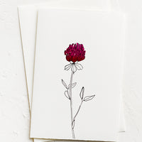 Red Clover: A white greeting card with a hand painted illustration of a red clover flower.