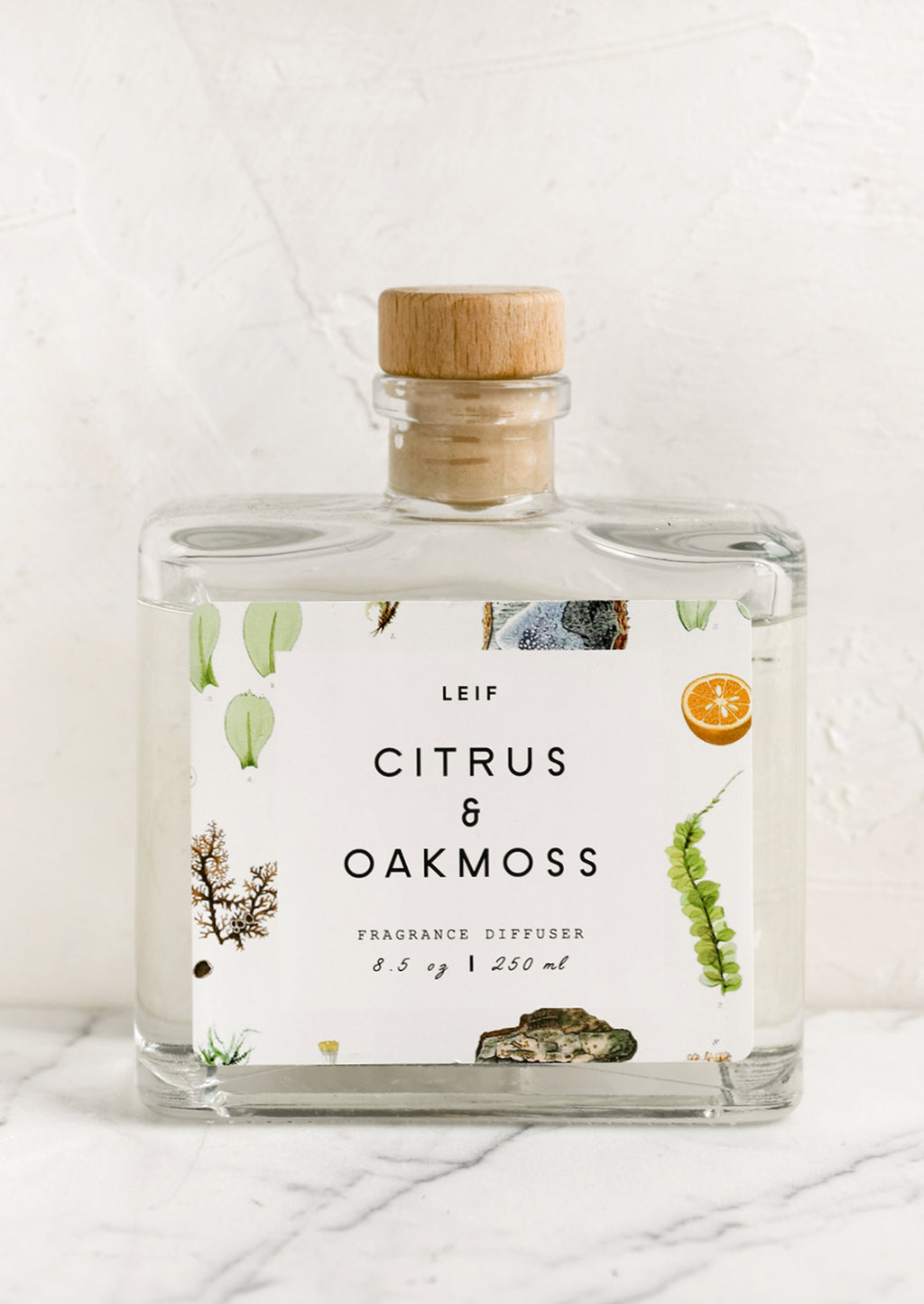 Citrus & Oakmoss: A citrus and oakmoss scented reed diffuser with glass bottle.