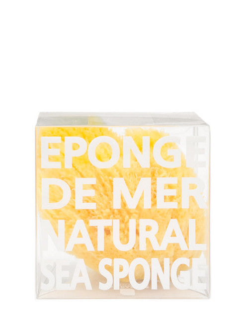 1: Natural Sea Sponge in  - LEIF