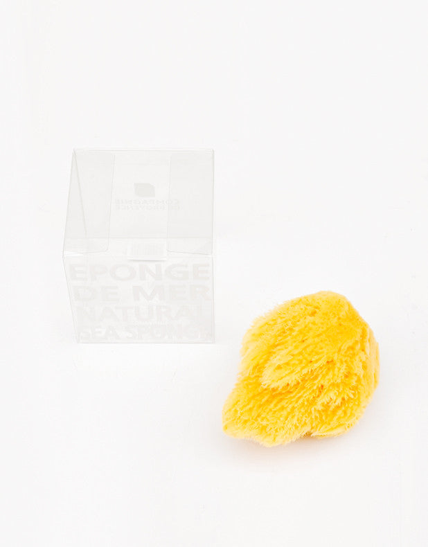 Natural Sea Sponge in - LEIF