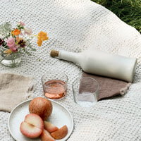 3: An outdoor picnic setting with wine and pluots.