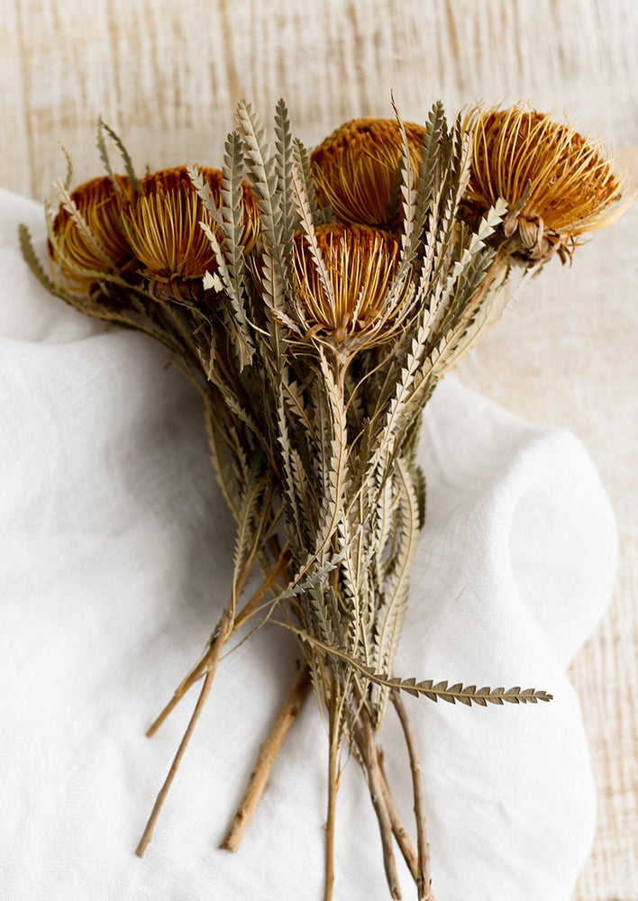Dried Mini Protea Stem hover