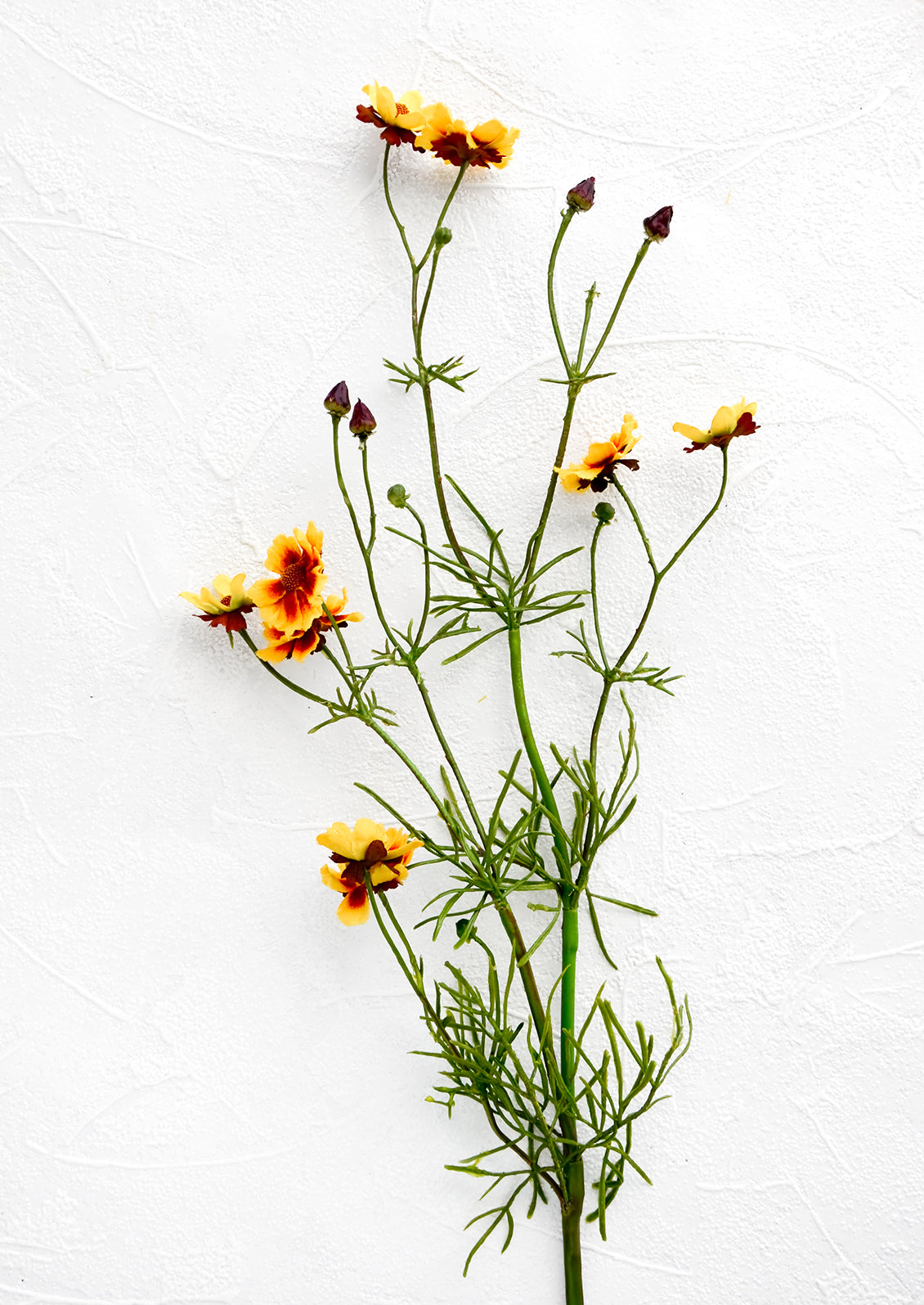 Realistic looking faux flower stem in the appearance of correopsis