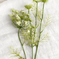 White: An artificial floral stem of white queen anne's lace.