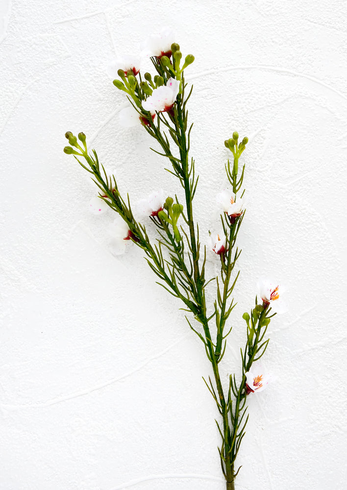 1: Faux plant stem in the appearance of waxflower
