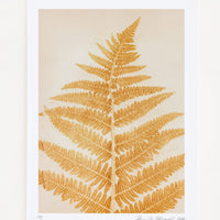 1: A botanical print of a fern frond in yellow mustard color.