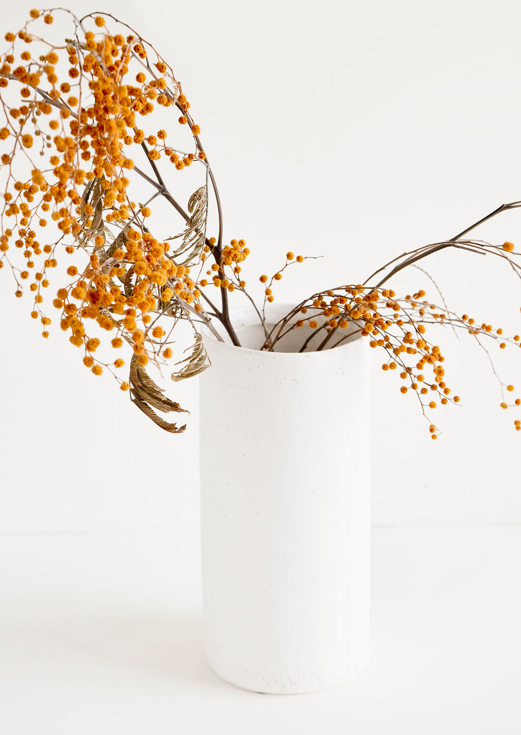 Tall: Tall and narrow cylindrical vase in white concrete material, displaying dried mimosa
