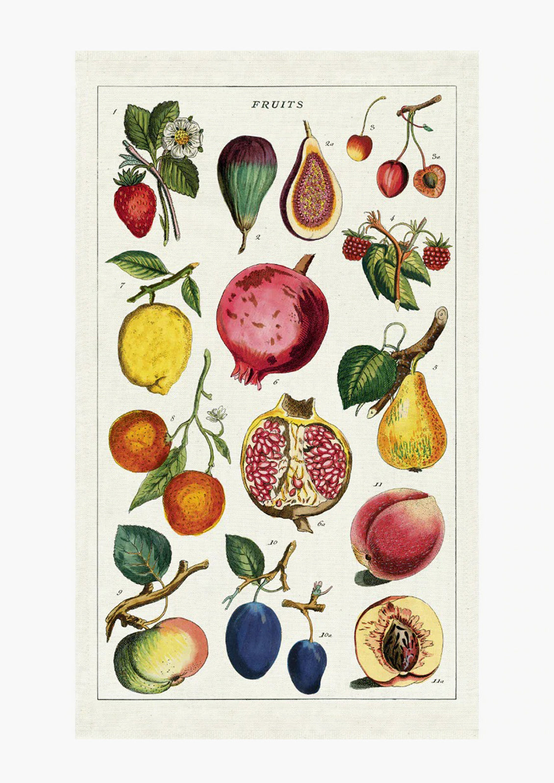 A cotton tea towel with full color fruit print.
