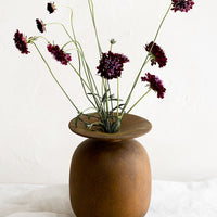 2: Scabious flowers in a brown vase.
