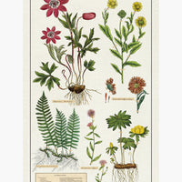 2: A cotton tea towel with colorful herbarium plant print.