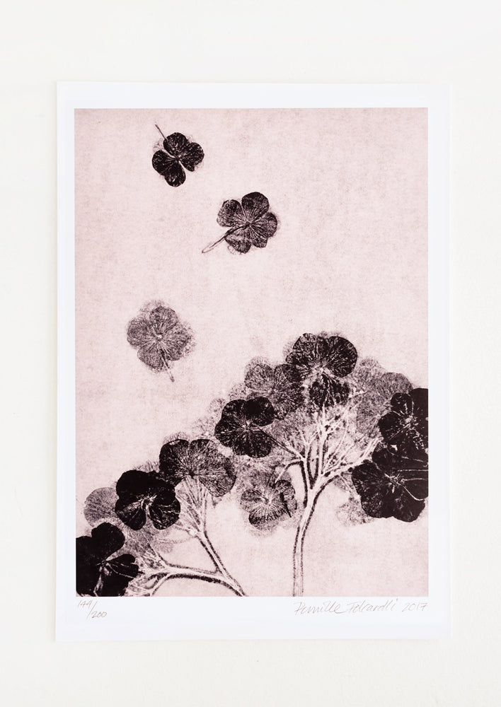 A botanical art print with silhouetted hortensia flower on mauve background.