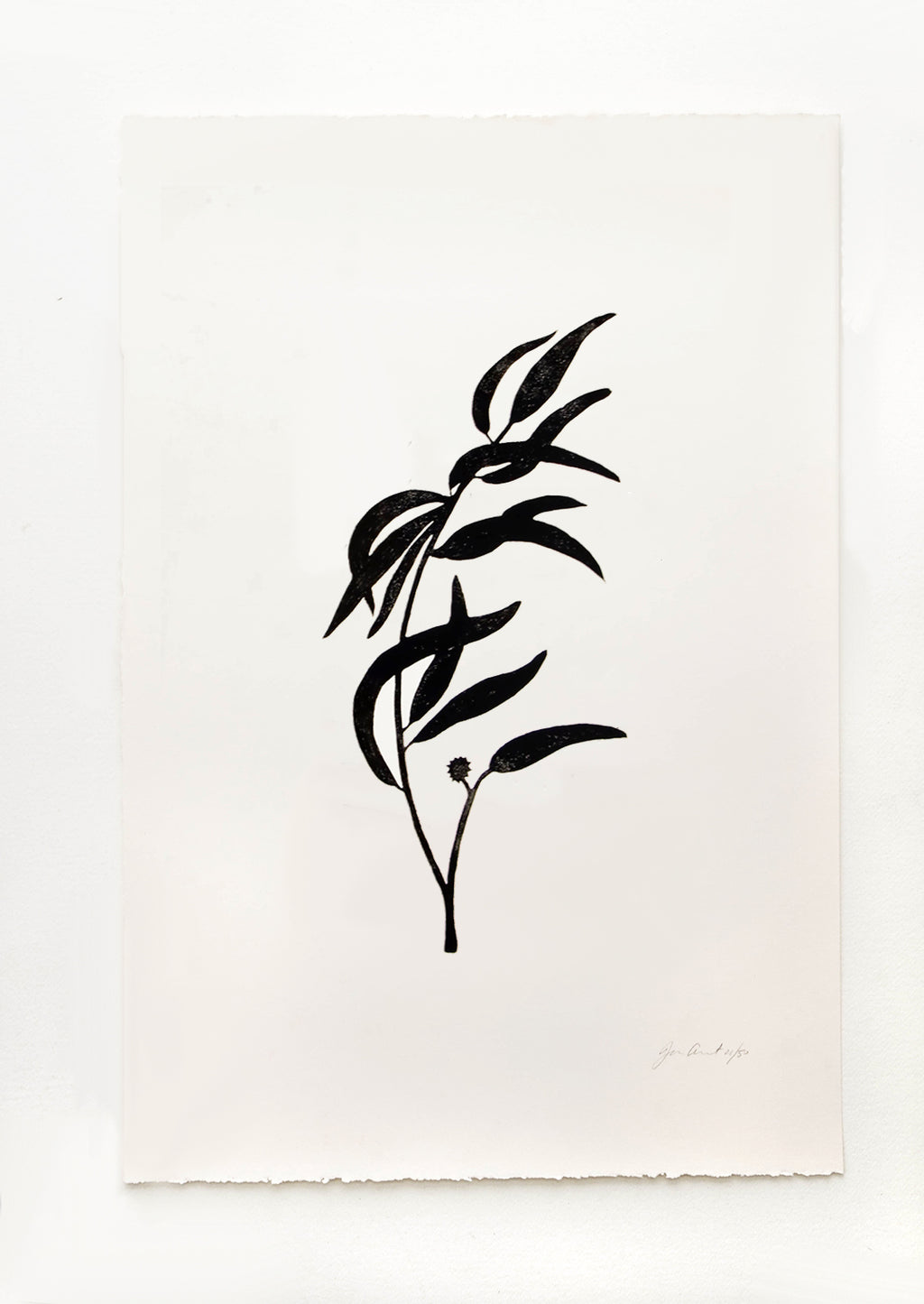 1: Hand printed artwork with off-white background and black silhouette of eucalyptus branch