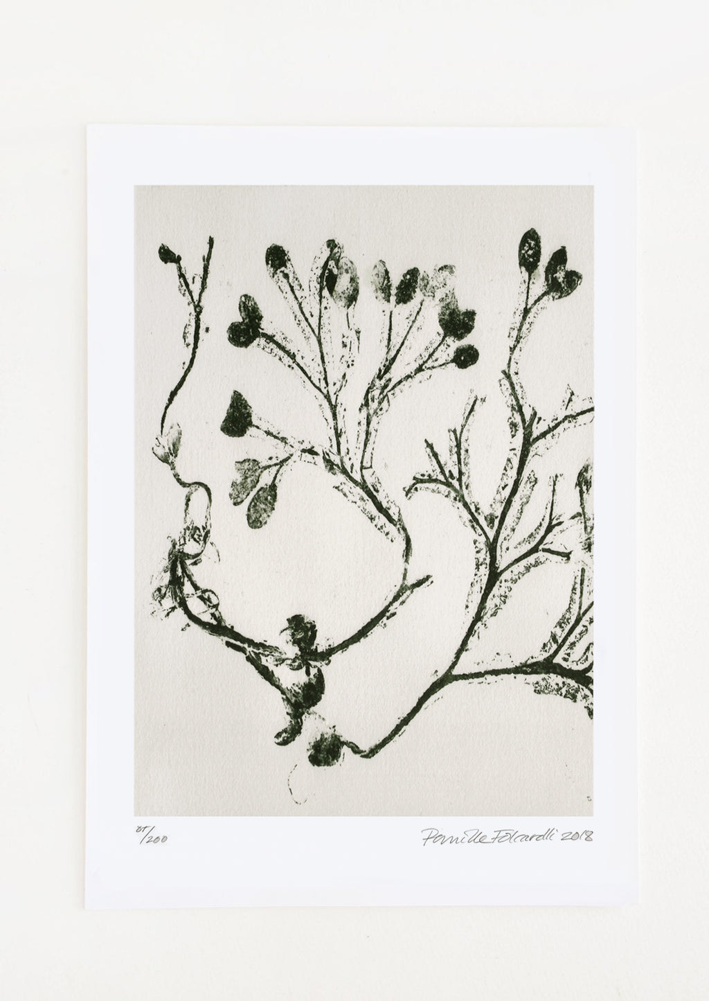 1: A botanical art print of seaweed in olive green.