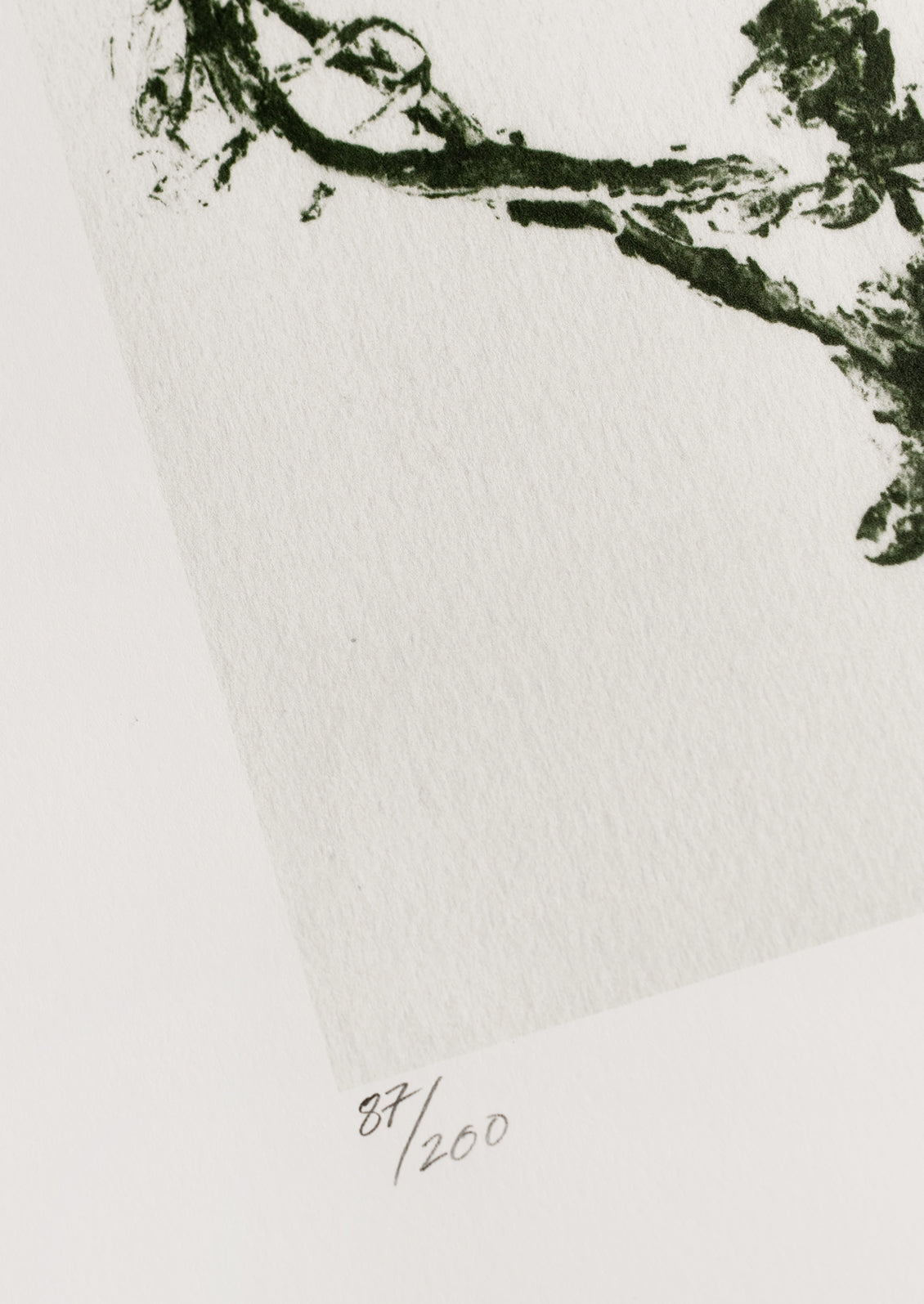 A botanical art print of seaweed in olive green.