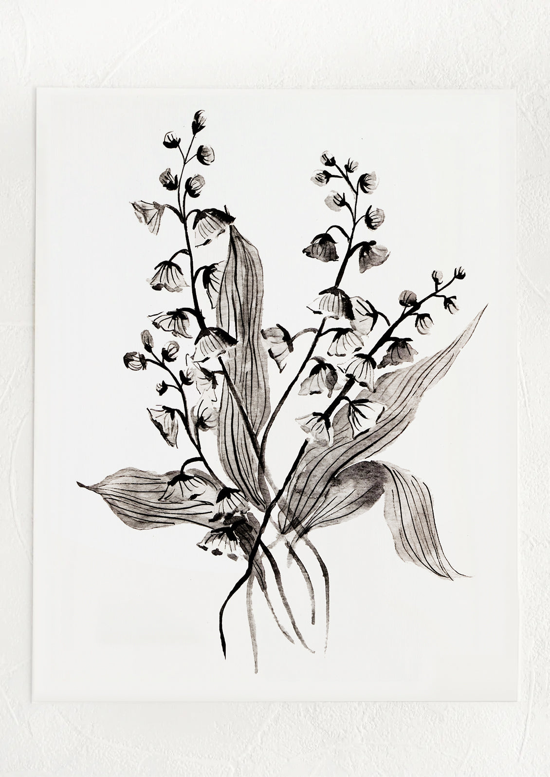 lily of the valley flower sketch Lily Of The Valley Print