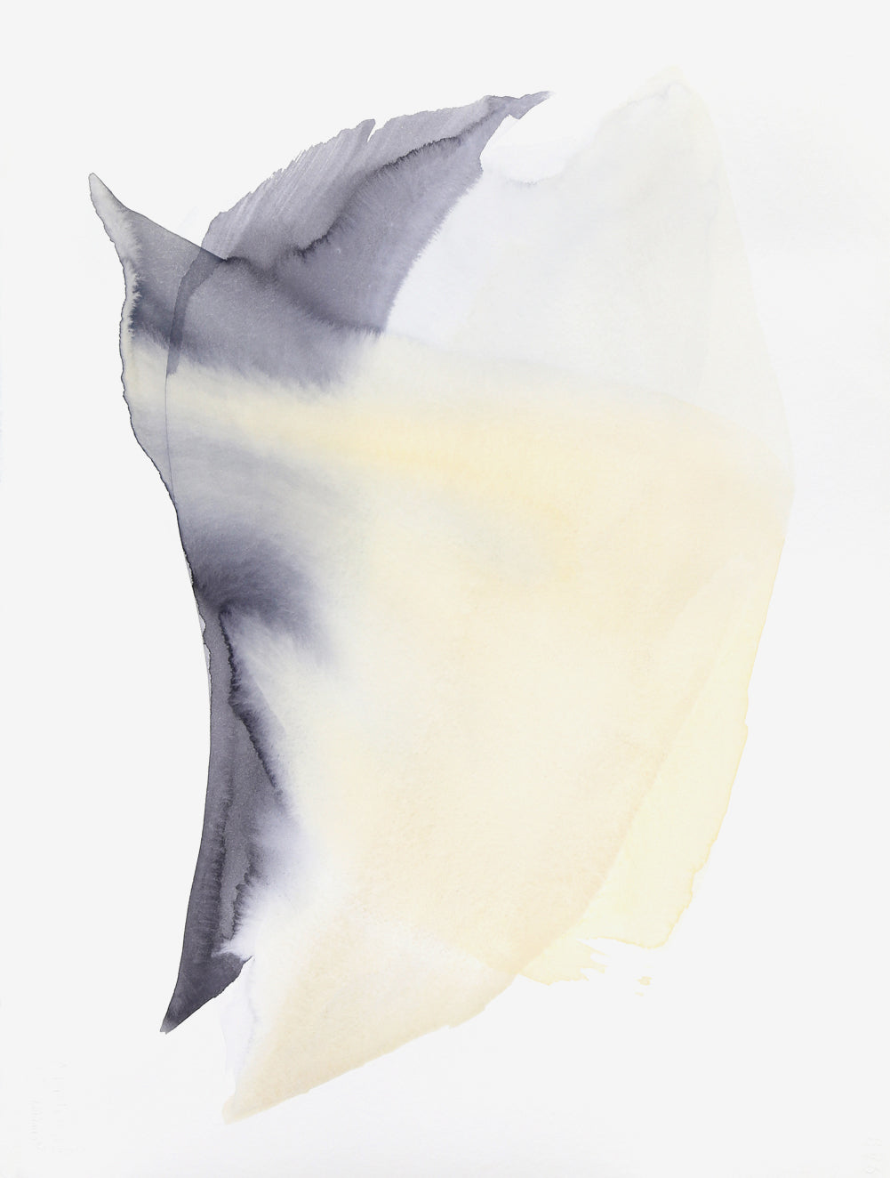 A swooping form created by yellow and charcoal watercolor paint seems to be moving on its white canvas.