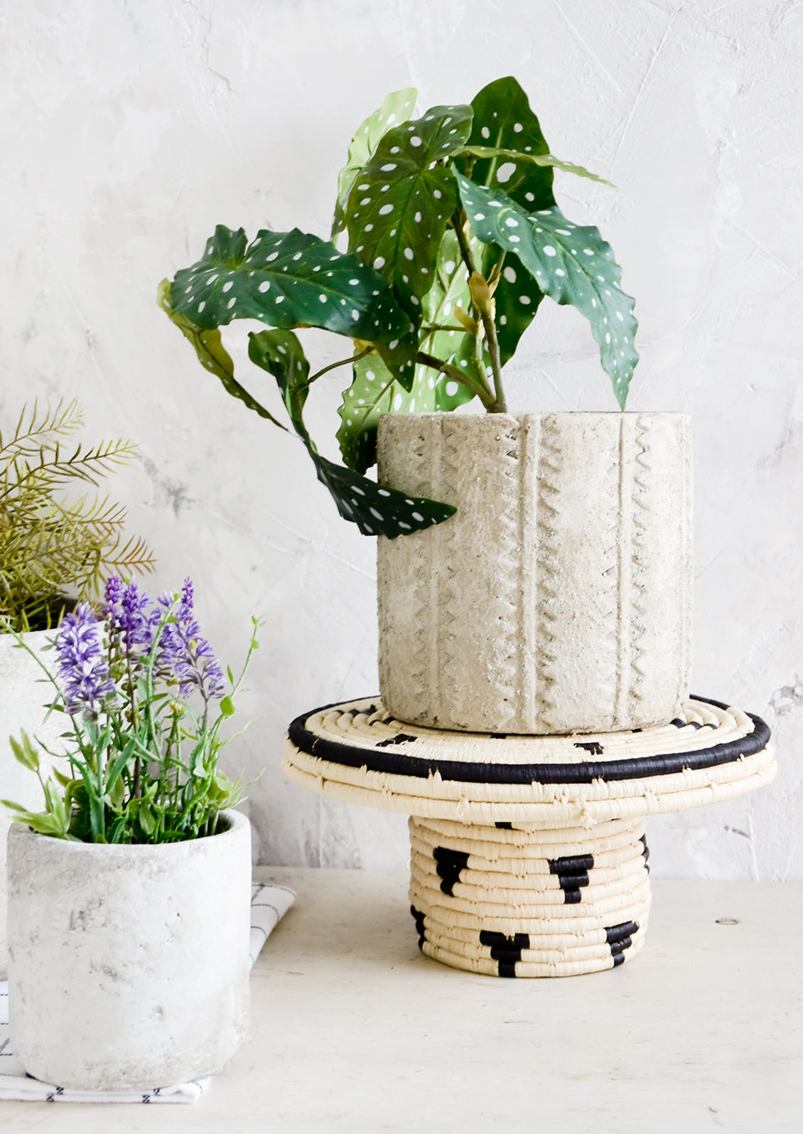 A variety of concrete planters displayed with assorted plants