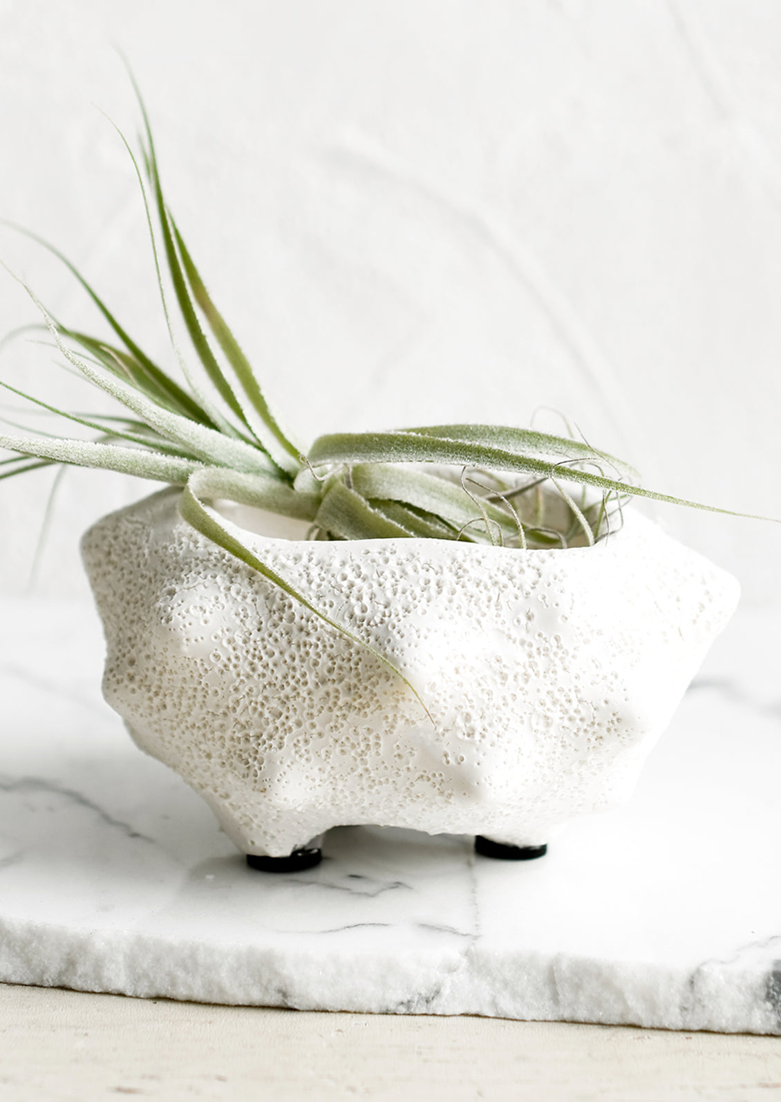 tiny white plant pots Mieko Tiny Ceramic Planter