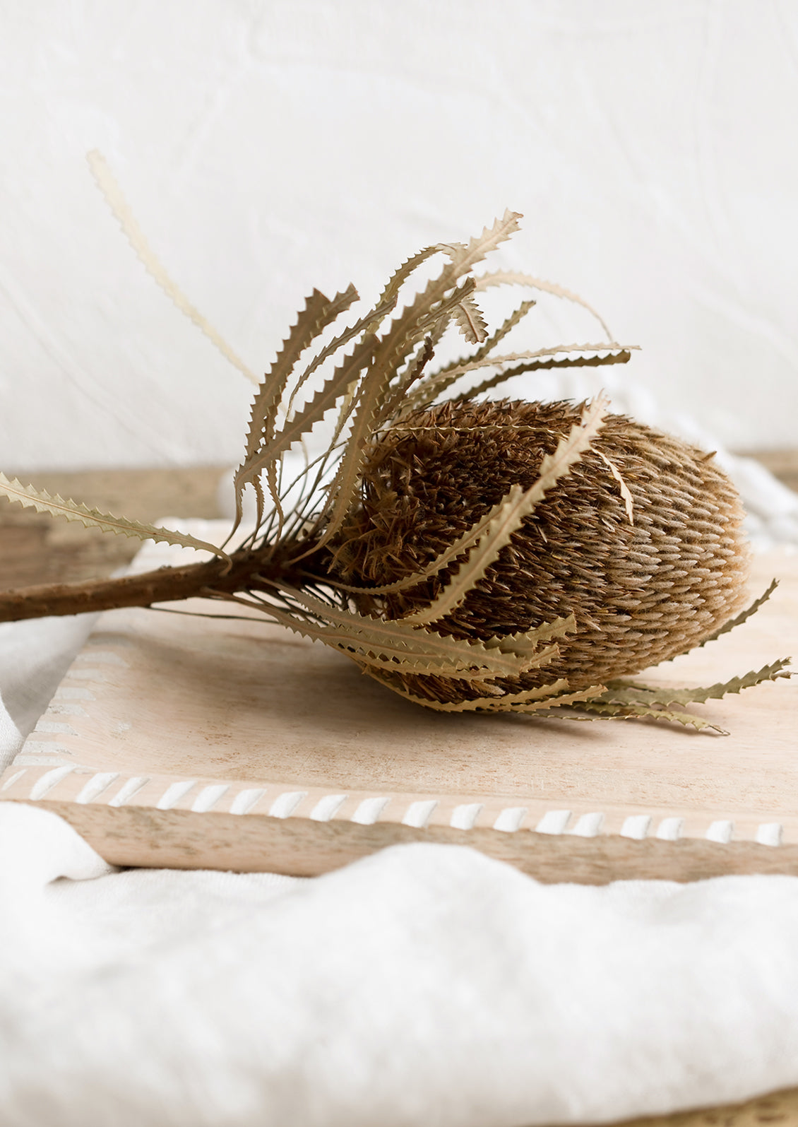 A dried protea flower displayed on a wooden tray.