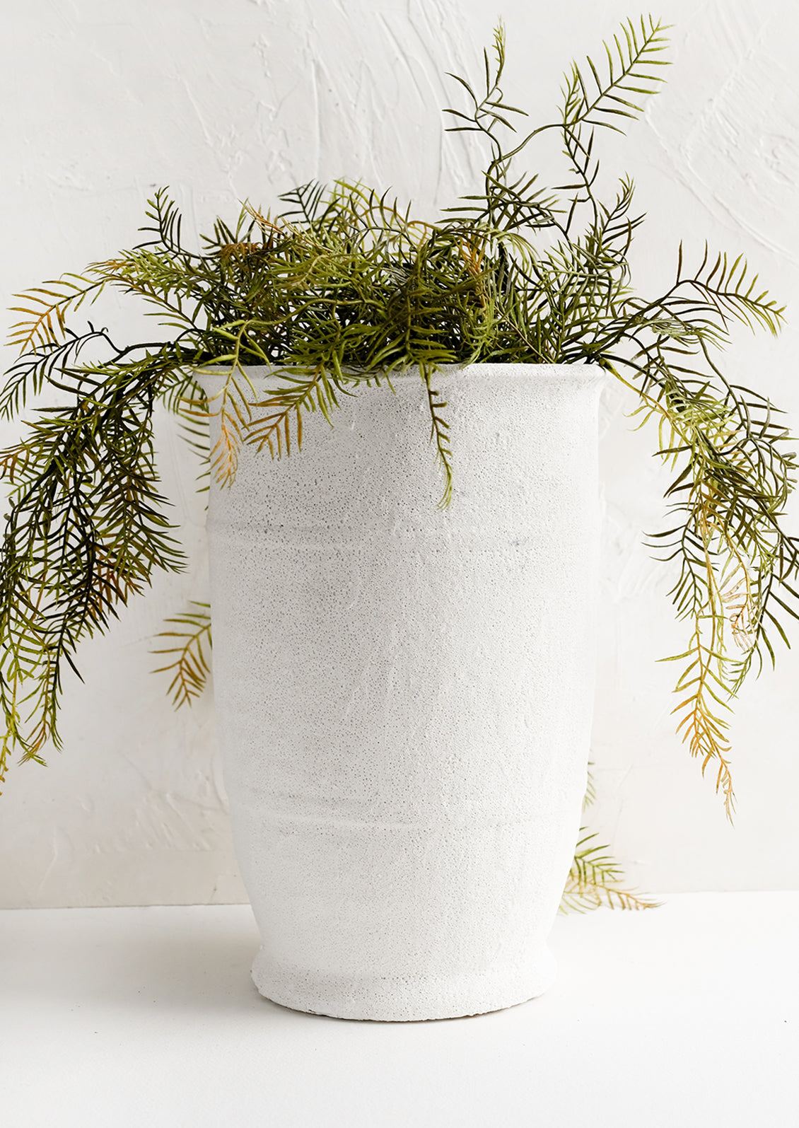 A tall planter in textured white glaze with green plant.