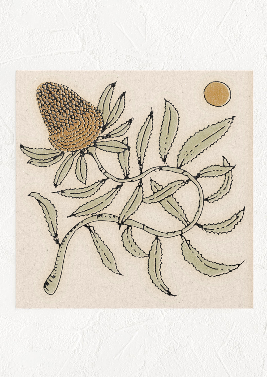 A square digital art print with image of a banksia flower and sun.