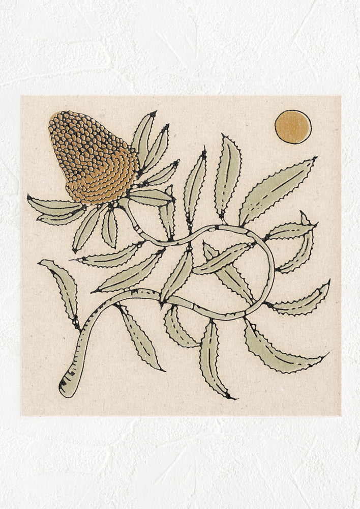 1: A square digital art print with image of a banksia flower and sun.
