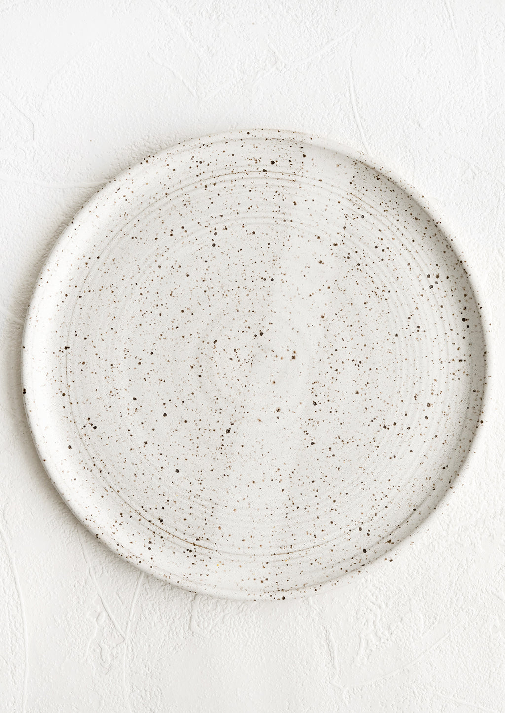 Speckled White / Dinner Plate: A speckled white ceramic dinner plate.