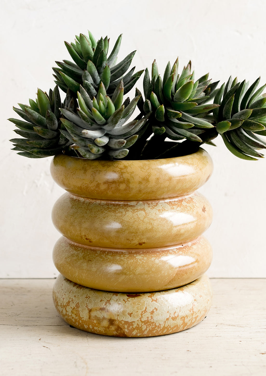 2: A curvy shaped planter in dappled brown glaze holding succulent plant.