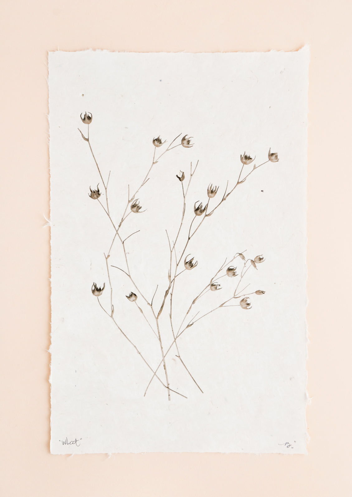 Stalks of long grasses are printed in black and white on rough edged paper.