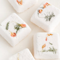 Flora + Fern / 2 Pack: Square shower steamer tablets with embedded petals and leaves.